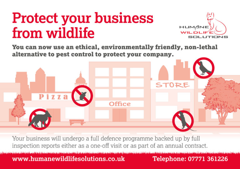 Protect your business from wildlife - Humane Wildlife Solutions - Scotland