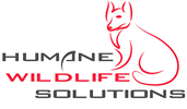 Humane Wildlife Solutions - Scotland